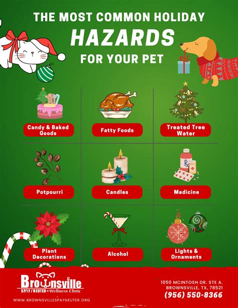 Holiday Pet Safety Tips – Brownsville Spay Neuter Clinic