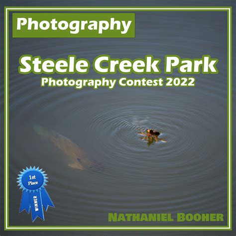 Nathaniel Booher - Steele Creek Park: Wildlife Weekend Photography ...
