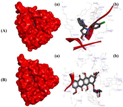 Novel Functionalized Spiro [Indoline-3,5′-pyrroline]-2,2′dione ...