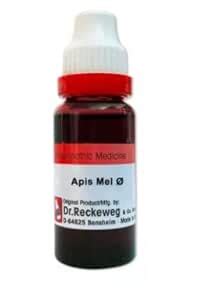 Buy Dr.R/W Apis Mellifica Q - 20 ml Online at Low Prices in India ...