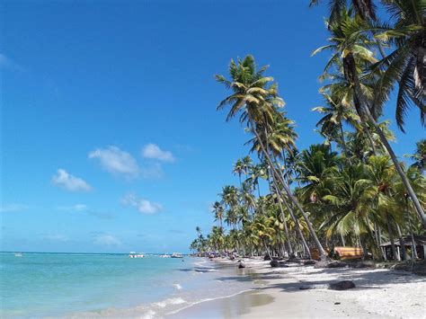 The Best Praia dos Carneiros Specialty Lodging 2026 (with Prices ...