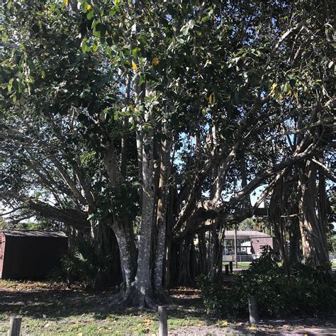 PUNTA GORDA ELKS LODGE #2606 - Restaurant Reviews, Photos & Phone ...