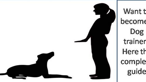 Image result for Guide Dog Trainer