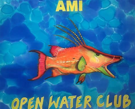 Swim AMI Manatee Beach, Manatee Ave & Gulf Drive Holmes Beach FL, 21 ...