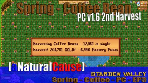 Stardew Valley - PC Edition v1.6 Spring Coffee Beans - Harvesting - EP3 ...