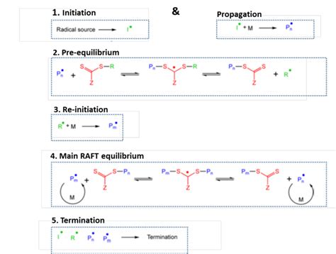 Mechanism of Reversible Addition-Fragmentation Chain Transfer (RAFT)... | Download Scientific ...