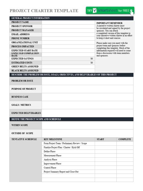 IC Project Charter Excel Template 8719 | Download Free PDF ...
