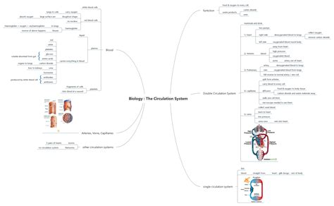 Biology Mind Map 的图像结果