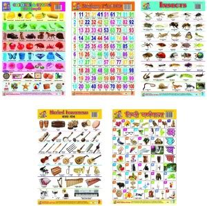 Combo of 5 Learning Charts Colors & Shapes | Hindi Varnmala | Insects ...