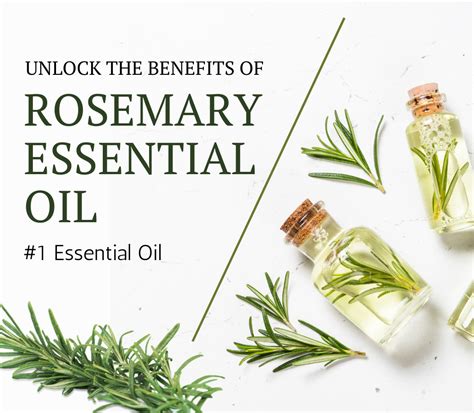 Unlock the Benefits of Rosemary Essential Oil | Aldrome Fragrance