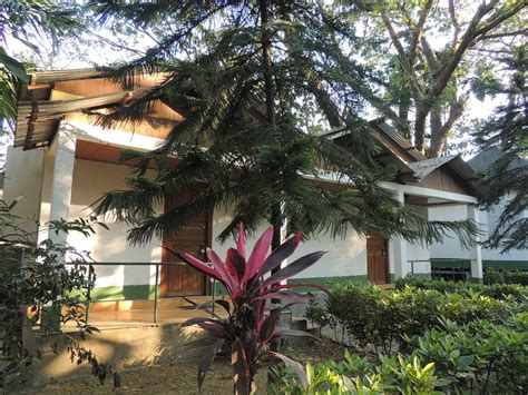 JALDAPARA JUNGLE CAMP (West Bengal/Birpara, India) - Hotel Reviews ...