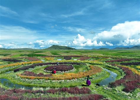 An Ancestral Legacy with Modern Concerns: The Story Behind the Waru Waru Agricultural Fields in ...