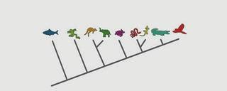 iThink Biology: Evolution