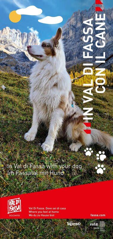 Flyer Im Fassatal mit Hund
