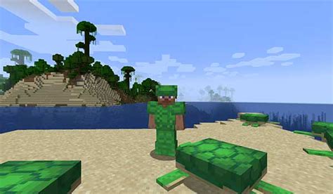 Image result for MinecraftTurtle Armor