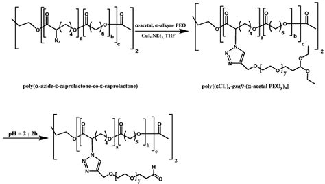 Poly(ε-caprolactone)-Based Graft Copolymers: Synthesis Methods and ...