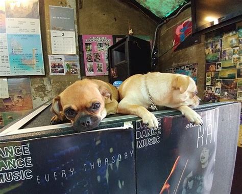 DDM HOUSE (Bangkok) - Inn Reviews, Photos, Rate Comparison - Tripadvisor