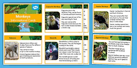 Monkey Informational Cards for K-2nd Grade