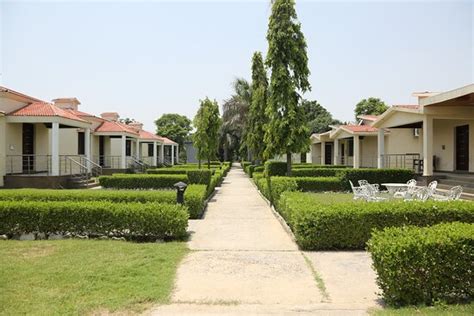 DRIVE IN 22 RESORT (Ambala, Haryana) - Hotel Reviews & Photos - Tripadvisor