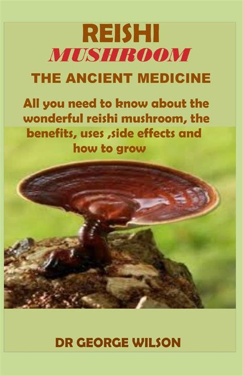 Buy REISHI MUSHROOM THE ANCIENT MEDICINE: All you need to know about ...