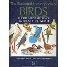 Buy The Illustrated Encyclopedia of Birds: The Definitive Reference to ...