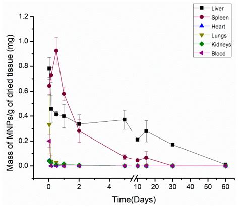 Long-Term Clearance and Biodistribution of Magnetic Nanoparticles ...