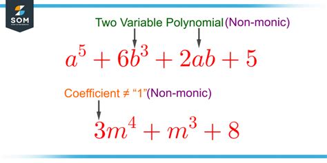 Monic Polynomial Examples 的图像结果
