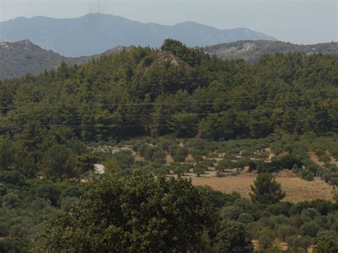 THE 5 BEST Places to Visit in Theológos (2026) - Must-See Attractions