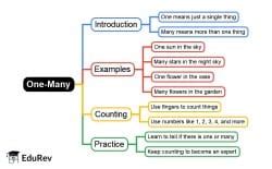 One-Many Mind Map - LKG PDF Download