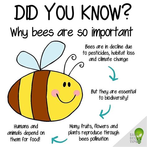 Bee Facts Memes