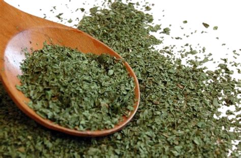 Coriander