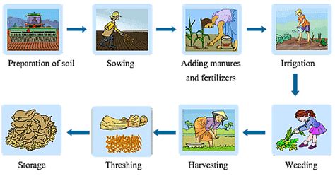 Summary of the Chapter - Crop Production and Management - Class 8 PDF ...