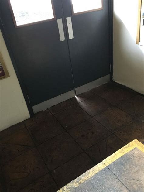 Rodent Entry Points 的图像结果