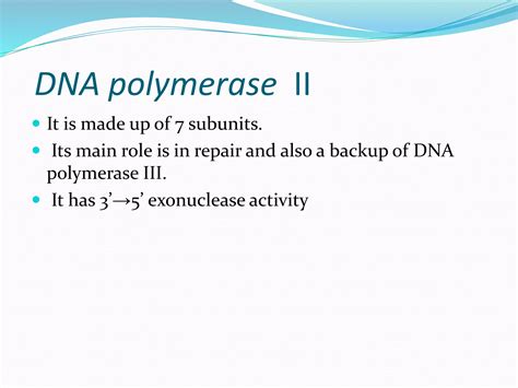 DNA Polymerase.pptx