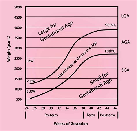 Understanding and Calculating Gestational Age | CK Birla Hospital