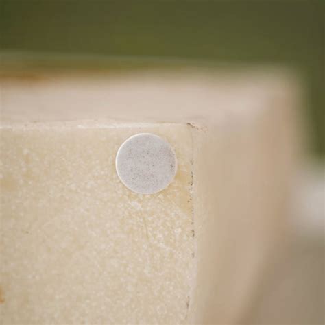 Areca Palm Leaf Resin Flower Vase Online - Premium Vase | Nestasia