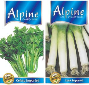 U-GROW INDIA IMP.CELERY, IMP. LEAK Seed Price in India - Buy U-GROW ...