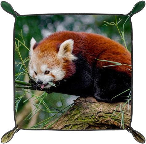 Buy MUOOUM Office Desk Trays, Red Panda Bear Eat Bamboo, Leather Valet ...