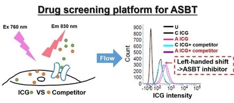 Apical Sodium-Dependent Bile Acid Cotransporter, A Novel Transporter of ...