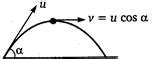 A projectile is projected at an angle 60° with horizontal with speed 10 ...
