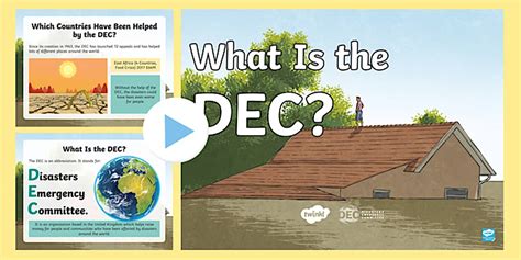 Who Are the DEC?