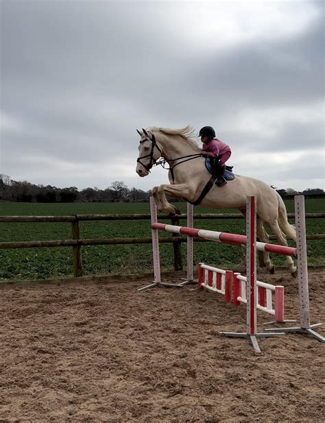 ‘She wanted to go bigger!’ Tiny rider sails over 1.20m oxer on 17hh ...