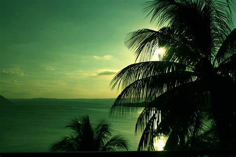 Nature Beauty Images 的图像结果