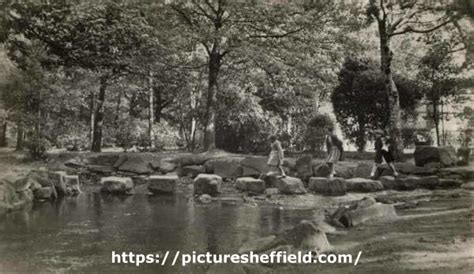 Searching Picture Sheffield