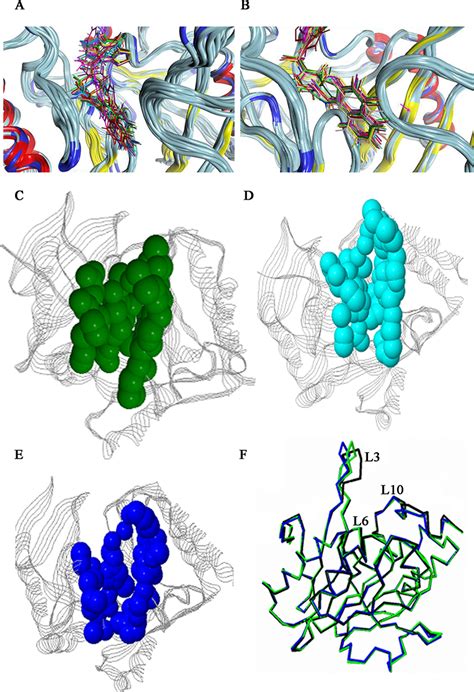 Image result for All-Atom Molecular Dynamic