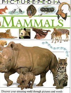 Buy Mammals (Picturepedia) Book Online at Low Prices in India | Mammals ...