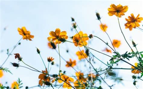 Image result for Spring Boot Application with PostgreSQL