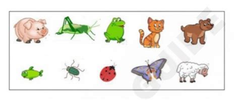 Printable Kindergarten PDF worksheet - LKG #21 | Olympiad tester
