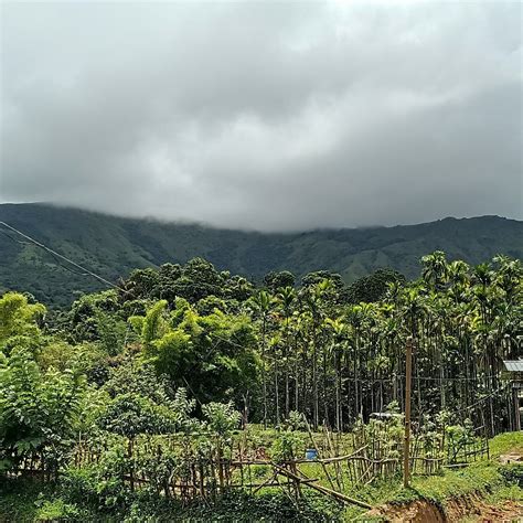 MAYOOKHAM RESORT (Thirunelly) - Resort Reviews & Photos - Tripadvisor