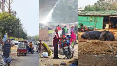 Ghaziabad: Once model township, now overrun by illegal dairies ...